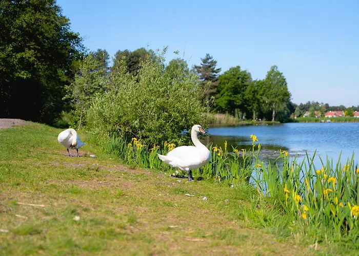 Glamping De Schatberg Luksusowy namiot Sevenum