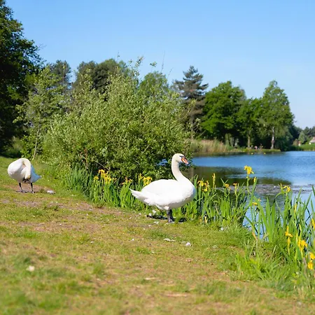 Glamping De Schatberg Campismo de Luxo Sevenum
